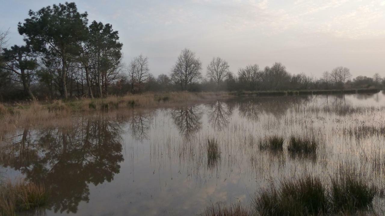 Gite Des Etangs Paulnay Exterior foto