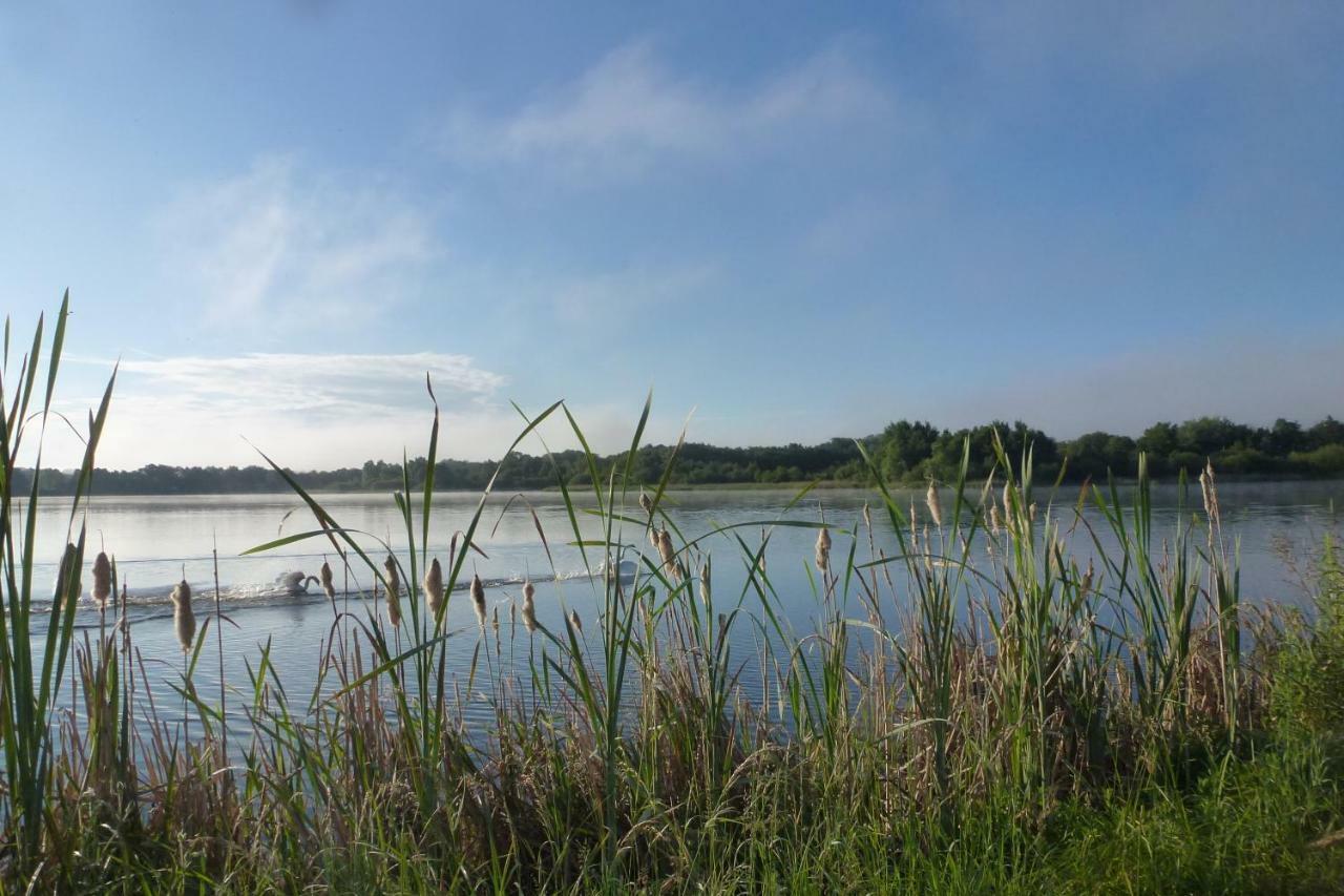 Gite Des Etangs Paulnay Exterior foto